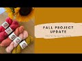 Fall Project Update + Plans for the Next Few Months