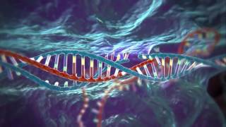 CRISPR-Cas, il kit "taglia e cuci" per modificare il genoma | Carla Portulano | TEDxCesena