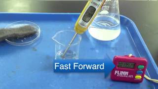 simple exothermic reaction