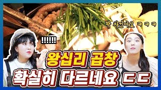 한국 곱창의 성지,  왕십리 소곱창을 처음먹어본 일본인 여자 반응 (ft.코토하,아리수)