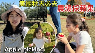 美國秋天必去 | 農場採蘋果 | 現採現吃 邊走邊吃 🤣 | Apple picking