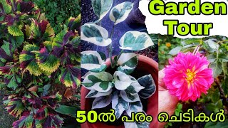 Garden tour Malayalam|| എന്റെ വീട്ടിലെ 50ൽ പരം ചെടികൾ|| Simple home garden