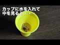 【チョコボール】おもちゃのカンヅメ 【 魔法缶 】の中身紹介