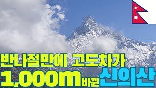 [세상을가슴에품은남자의세계여행기 네팔(3-2)] 반나절만에 고도가 1,000이 바뀌는 신의산, 피쉬테일이라 불리는 마차푸차레, 마르디히말 트레킹 2일차 - 피탐데우랄리-로우캠프까지