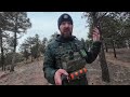 how to carry bear spray like a pro