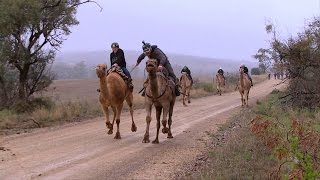 Camel Racing | Remembering Roner