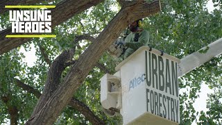 Unsung Heroes - Urban Forestry