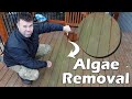 How To Remove Green Algae from Deck