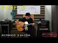 ir impulse response for acoustic guitar richwood g 65 ceva