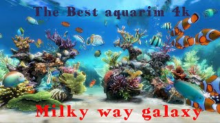 Best aquarium 4K| for relaxation relaxation