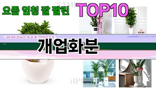 가장 많이 팔린 개업화분 추천 Top10!