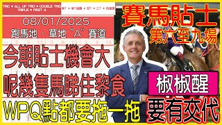 【賽馬貼士提供】2025年1月8日 跑馬地 (第六至九場)  今期貼士機會大 呢幾隻馬睇住黎食!!! 椒椒醒 要有交代!!! #賽馬貼士 #賽馬 #賽馬投注 #賽馬分析