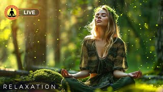 🔴 Forest Meditation Music 24/7, Soothing Music for Relaxing, Peaceful Music, Zen, Light Rain Sounds