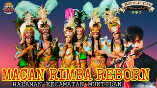 🔥MUNTILAN EXPO MACAN RIMBA REBORN MENAYU||HALAMAN KECAMATAN MUNTILAN