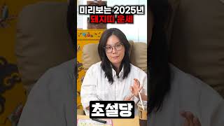 미리보는 2025년 을사년 삼재띠 돼지띠운세! 복삼재를 기대해라?