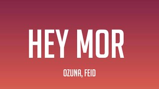 KoOzuna, Feid - Hey Mor (Letra_Lyrics)