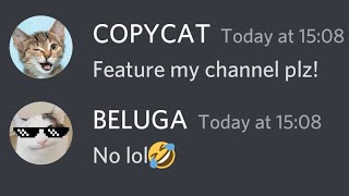 WHEN COPYCAT MEETS BELUGA! @Beluga1