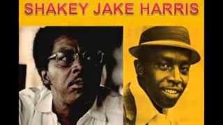 Shakey Jake Harris  ~ ''Sawed Off Shotgun'' \u0026 ''Ragged And Dirty'' 1971