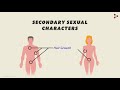 secondary sexual characters reaching adolescence don t memorise