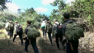 Hunting Wild Boar, Grey Peacock-pheasant and Cooking In The Village | Yos hav zoov caum Npua teb