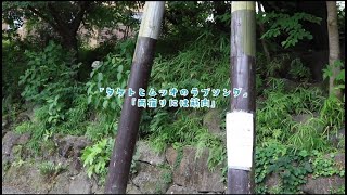 『タケトとムツオのラブソング』第19話『雨宿りには筋肉』