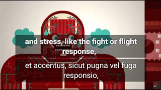 【TED Talk】Quomodo Sanguis Pressure Works - Wilfred Manzano  | Latin with English subtitles