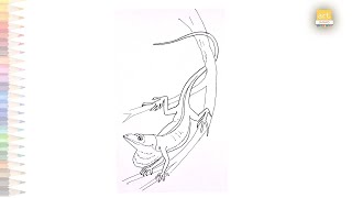 Green Anole drawing How to draw A Green anole step by step | Lizard drawing tutorials