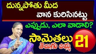 TELUGU  SAMETHALU #21 | దున్నపోతు మీద వాన కురిసినట్టు | telugu amma |  | proverb |