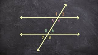 Learning To Identify Linear Pairs Of Angles