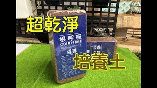 快速膨脹～根呼吸-小椰磚(650g)椰土壓縮包 培養土 營養土 栽培土 椰糠 椰纖土 #花園城堡園藝資材倉庫