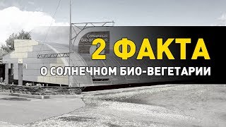 Два факта о Солнечном био-вегетарии