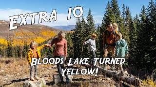 Bloods Lake Turned Yellow! - ONE OF OUR TOP FAVORITE HIKES IN UTAH!