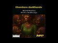Diana Samkange -Chembere DzeMhande-(Official Audio)