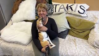 Good News! The Fastest Adoption Ever! - Takis Shelter