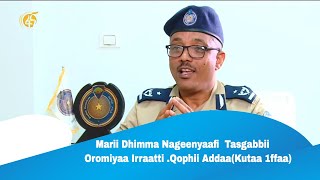 Marii Dhimma Nageenyaafi  Tasgabbii Oromiyaa Irraatti .Qophii Addaa(Kutaa 1ffaa)