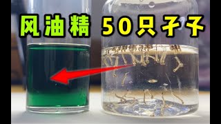 ‎把50隻孑孓丟進風油精裡游泳！ 會發生什麼事？