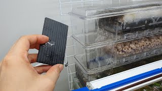 水族過濾器改裝DIY直播