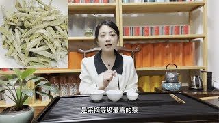 白茶四大分类，白毫银针，白牡丹，贡眉，寿眉滋味不同，该怎么选