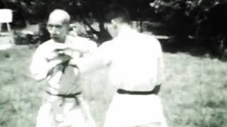 Soke (grandmaster) Masaaki Hatsumi and his Soke Takamatsu Toshitsugu.