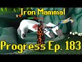 New Solo Olm Meta | Iron Mammal Progress 183