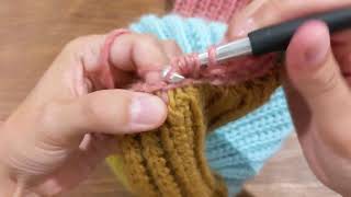 How to crochet the HDC SLST BLO 2TOG