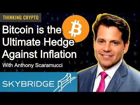 Anthony Scaramucci Interview - Bitcoin's Adoption & Growth, SkyBridge ...