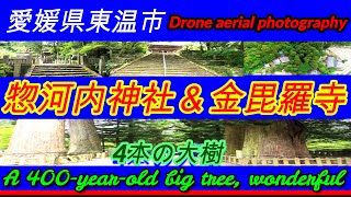 こんにちは。今日は散策スポットで人気のある神社＆お寺へ。愛媛県東温市の惣河内神社、金毘羅寺へ。初夏を感じる時期、とても紫陽花の綺麗な季節。４本杉の大樹に感動・圧倒されました。どうぞご視聴下さいネ👍🔔🎁