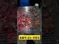 닭똥집 숯불구이 술안주 별미 먹방 먹방asmr 먹스타그램 처음 먹어본 숯불 닭똥집 구이~저녁 별미로 최고네요~👍