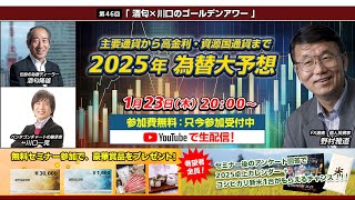 【FX】2025年為替相場の展望｜トランプ新政権の影響は？【為替】