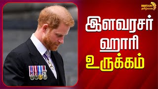 இளவரசர் ஹாரி உருக்கம் | Prince Harry Meltdown | Britain tamil News