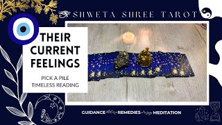 THEIR CURRENT FEELINGS FOR YOU | PICK A CARD | TIMELESS READING | SHWETA SHREE TAROT