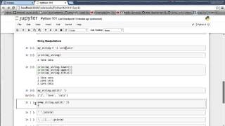 Python 101 2: String Manipulation