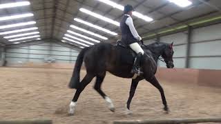 Carey Blizzard and Mr Hong Kong HRCAV 3.4 new test 2020