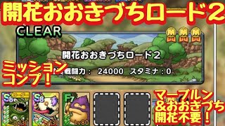 【ドラクエタクト】開花おおきづちロード２をミッションコンプリートできる編成を紹介！